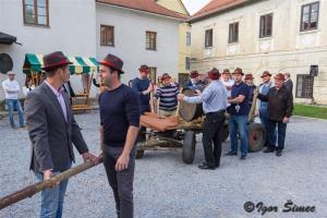 Mlada portugalka 2017 2